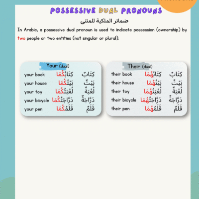 Master Arabic Possessive Pronouns – Singular, Dual & Plural | Arabic Grammar Worksheets