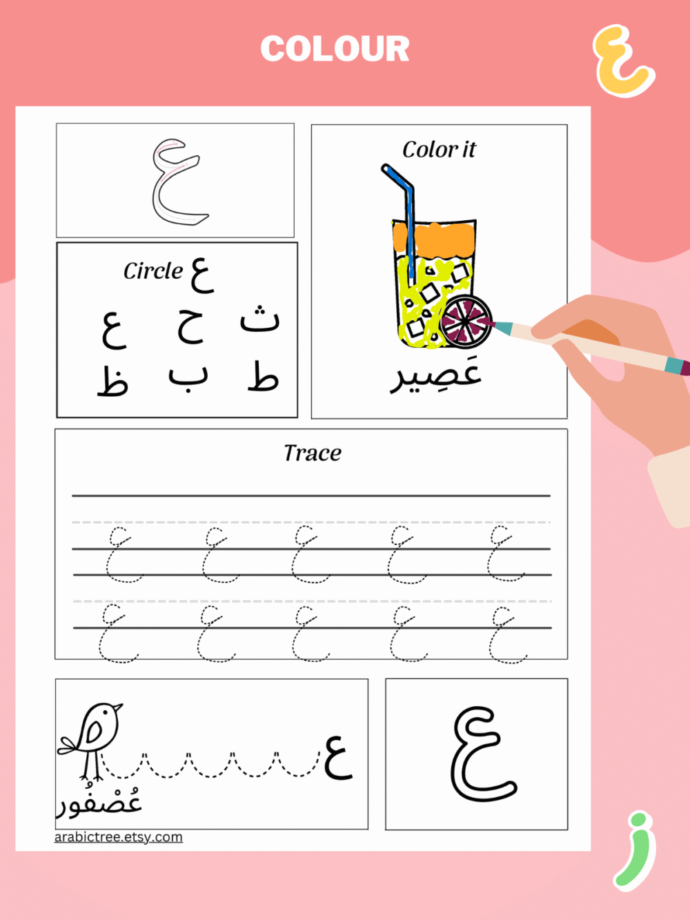 3 Arabic Alphabet Letters Learning Worksheets – Trace, Write, and Circle Activities for Kids