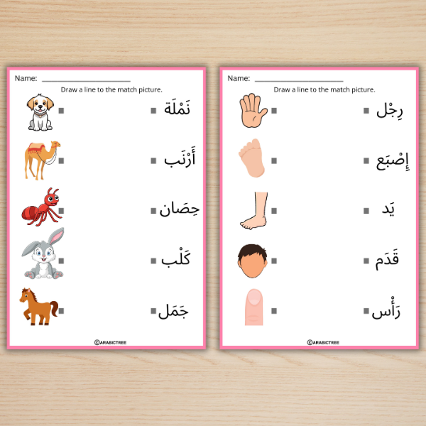 Arabic Words Matching Worksheets for Kids – Fun Vocabulary & Learning Activities