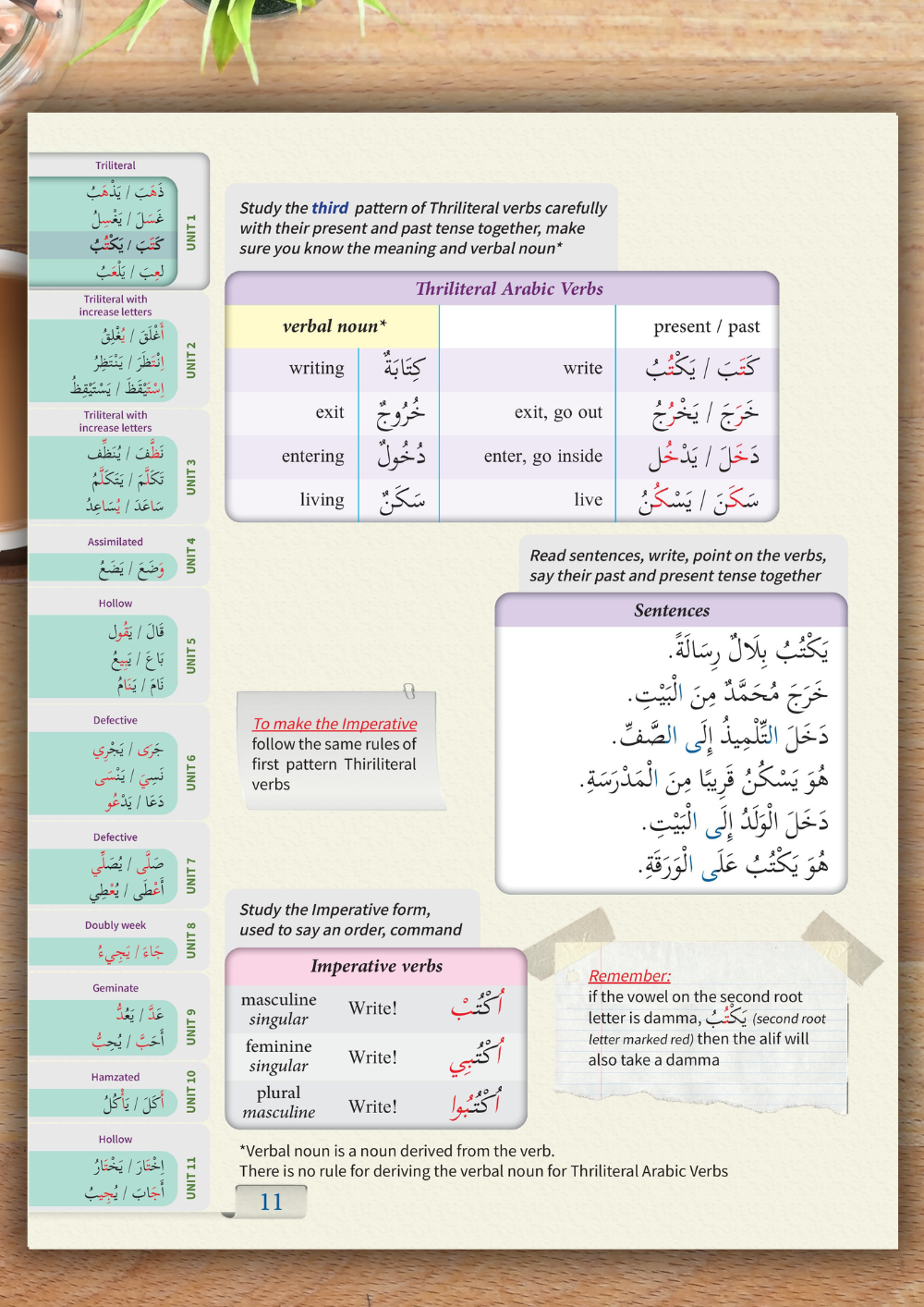 Arabic Workbook for Beginners | Learn Modern Standard Arabic | Grammar, Vocabulary, Verbs with English | Arabic for Kids & Adults